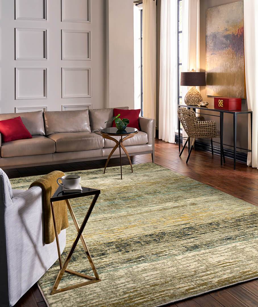 Area rug in living room | Carpetland USA
